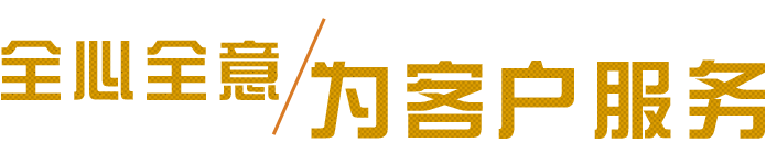 成都網站建設